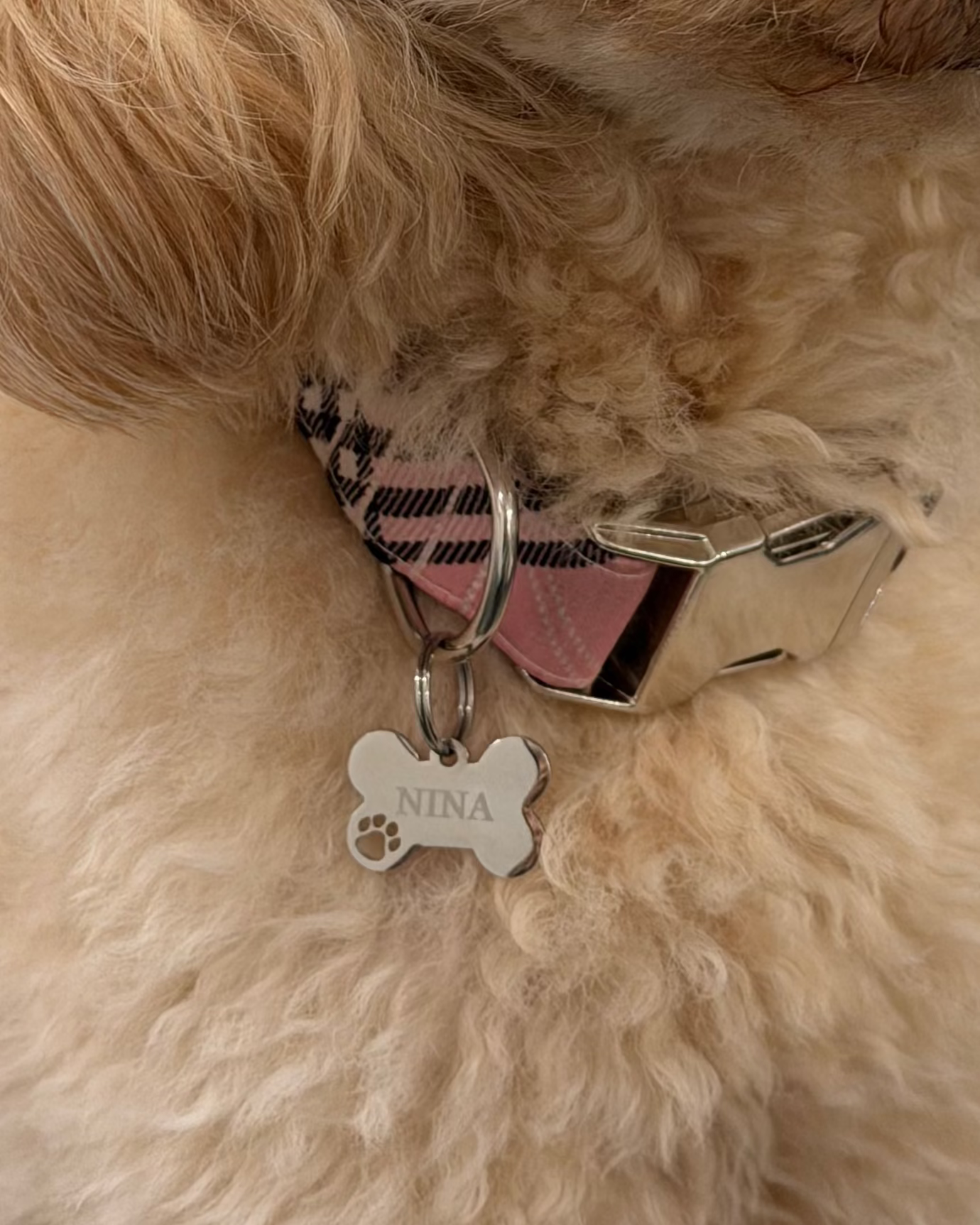 HUESO PEQUEÑO MASCOTA