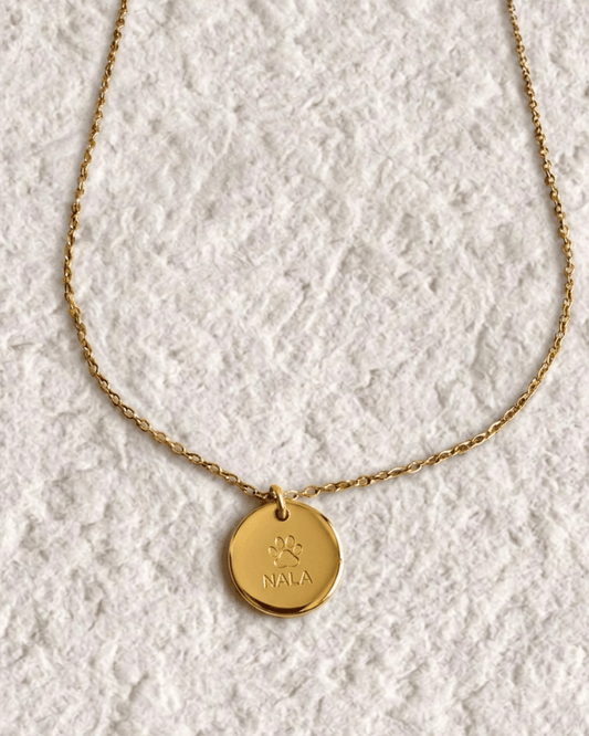 COLLAR HUELLA Y NOMBRE