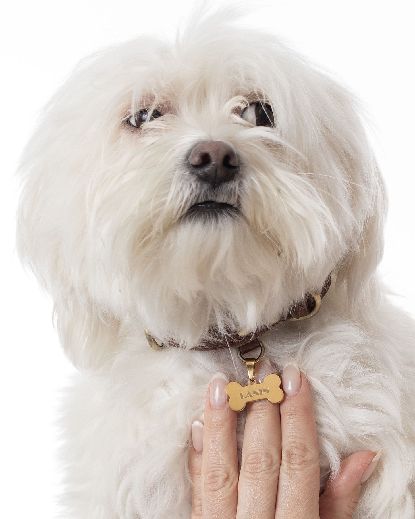 hueso pequeño grabado para collar mascota