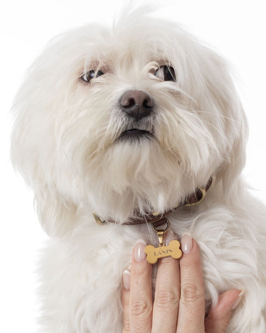hueso pequeño grabado para collar mascota