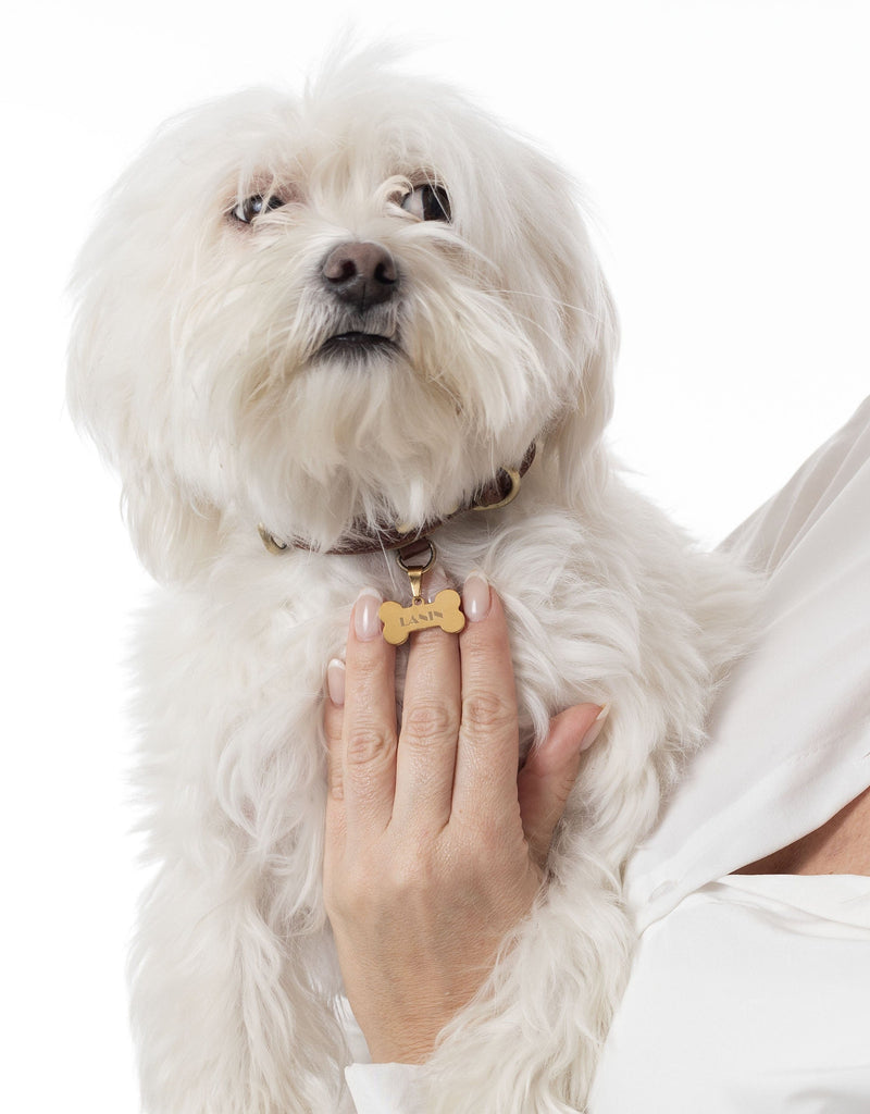 hueso pequeño grabado para collar mascota