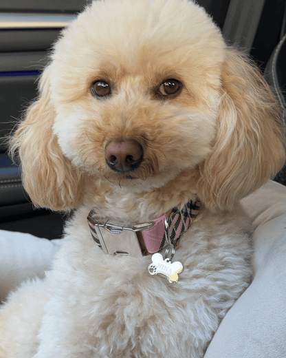 HUESO PEQUEÑO MASCOTA