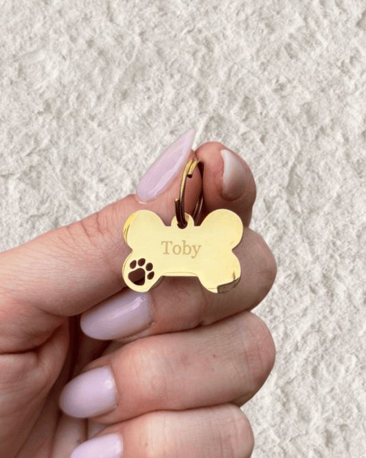 SMALL BONE PET COLLAR