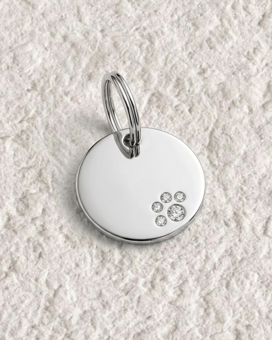 SMALL BONE PET COLLAR