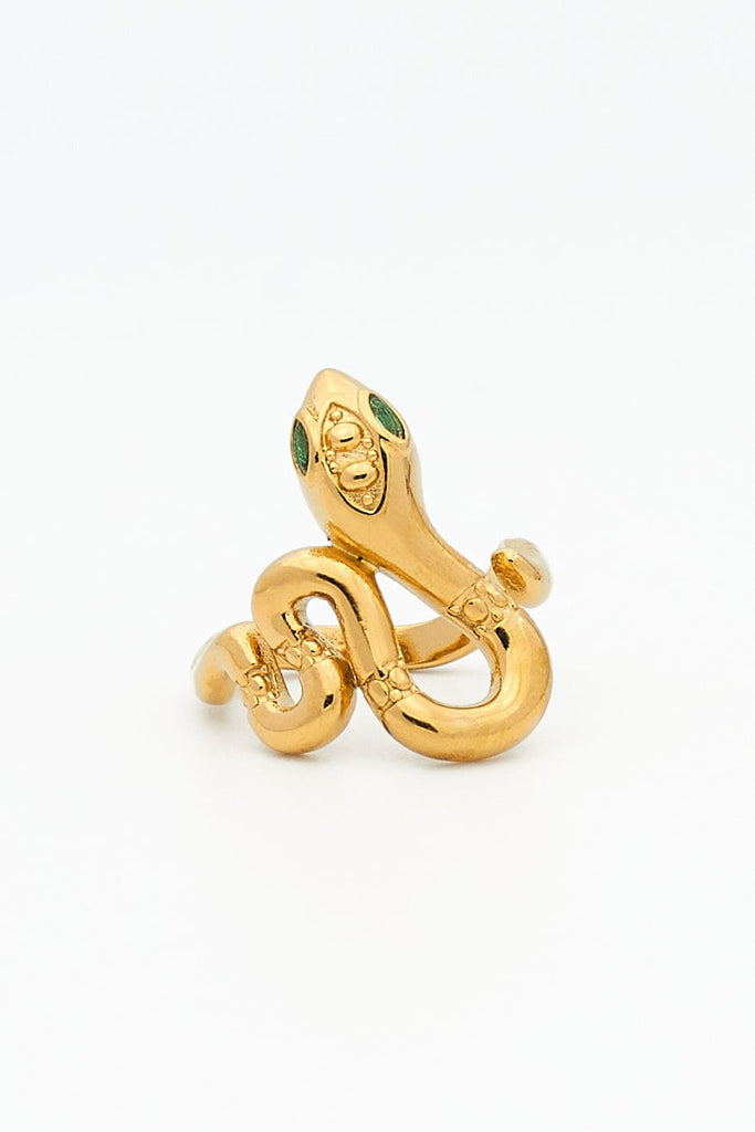 ANILLO SERPIENTE FLYNN